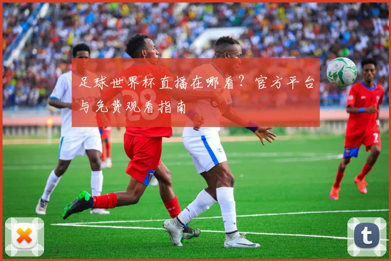 足球世界杯直播在哪看？官方平台与免费观看指南