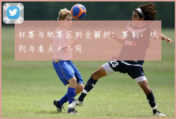 杯赛与联赛区别全解析：赛制、规则与看点大不同